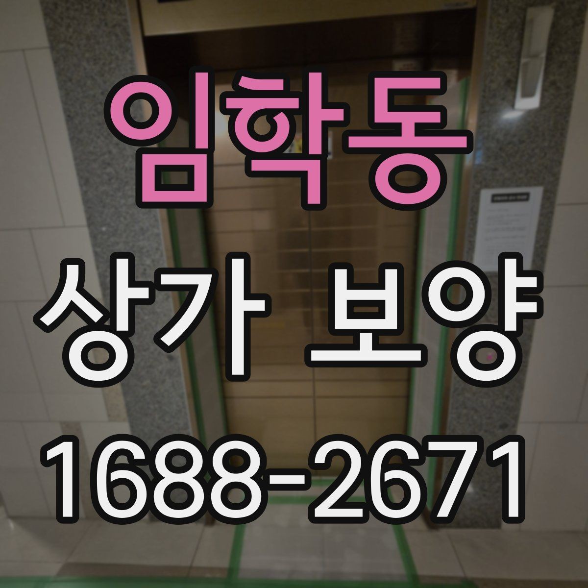 임학동 상가 보양 전후 사진으로 확인하는 변화