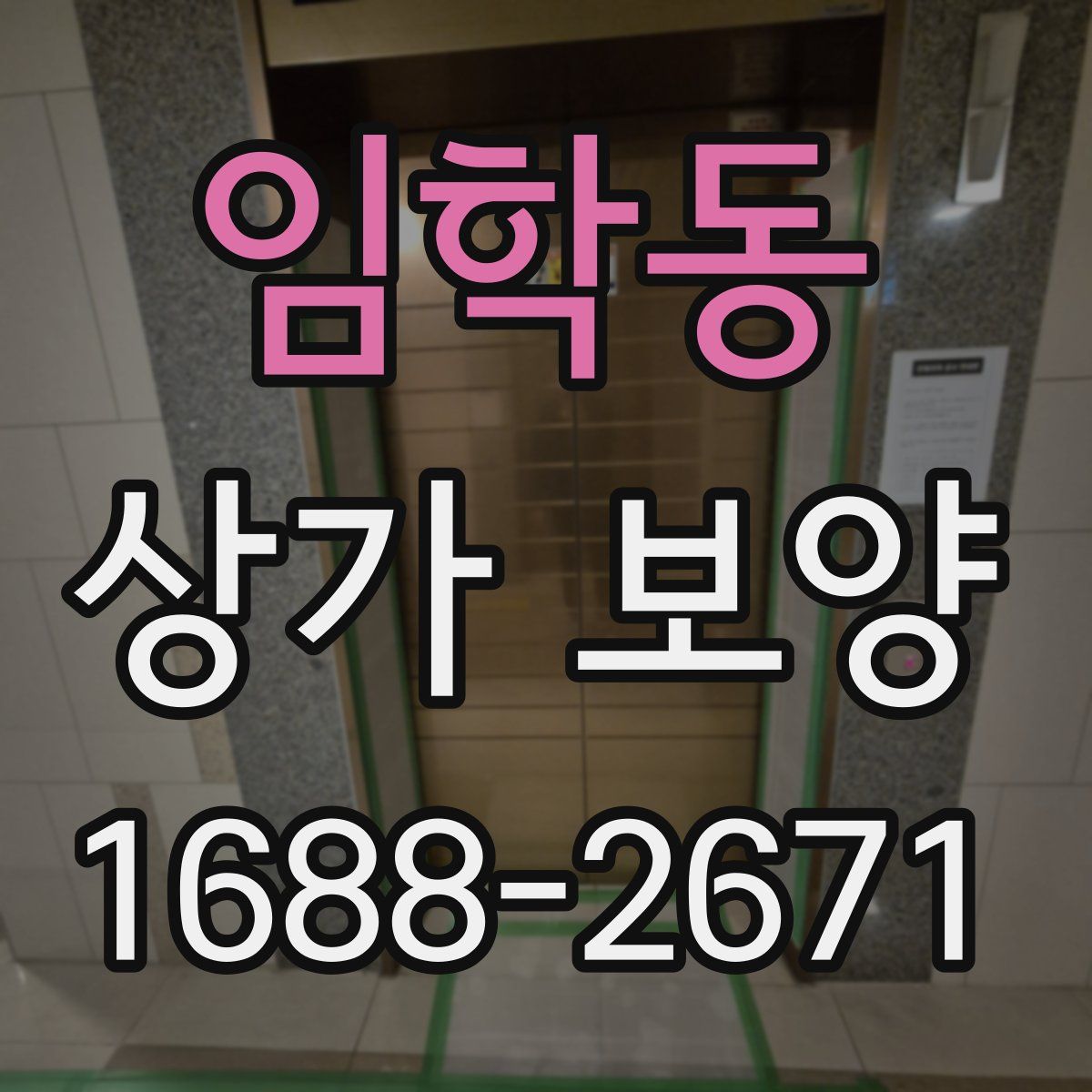 임학동 상가 보양