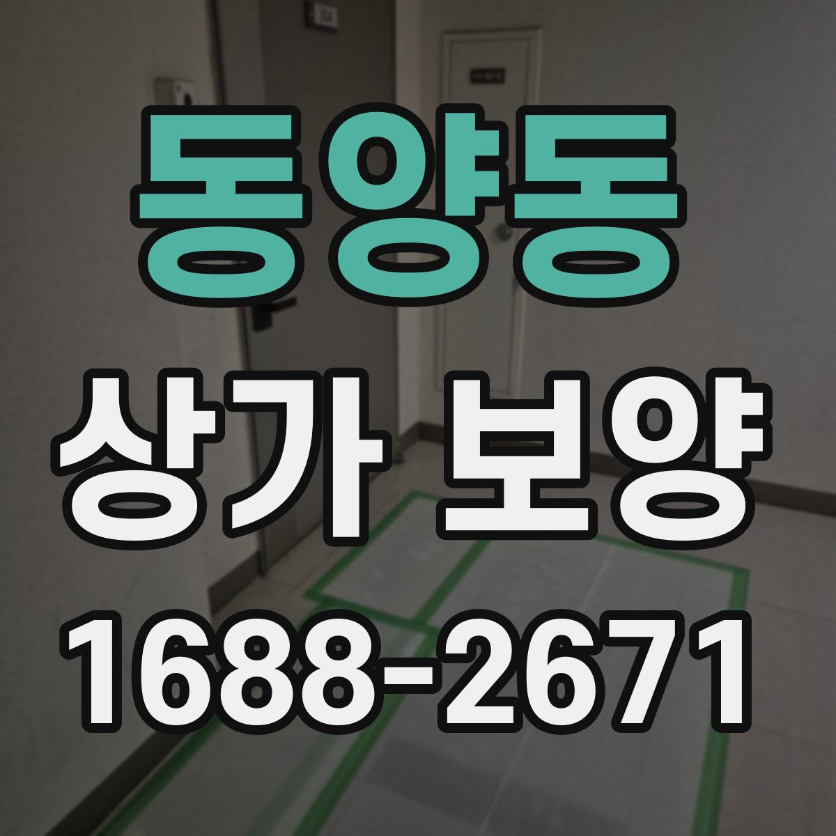 동양동 상가 보양