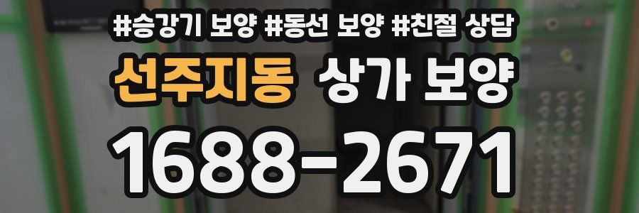 선주지동 상가 보양