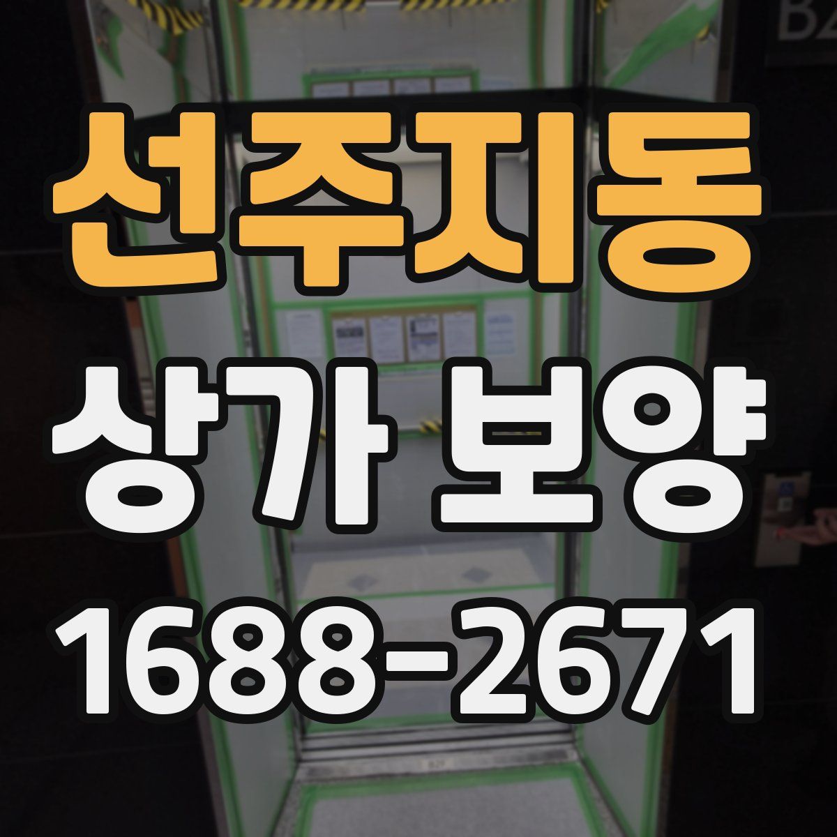 선주지동 상가 보양