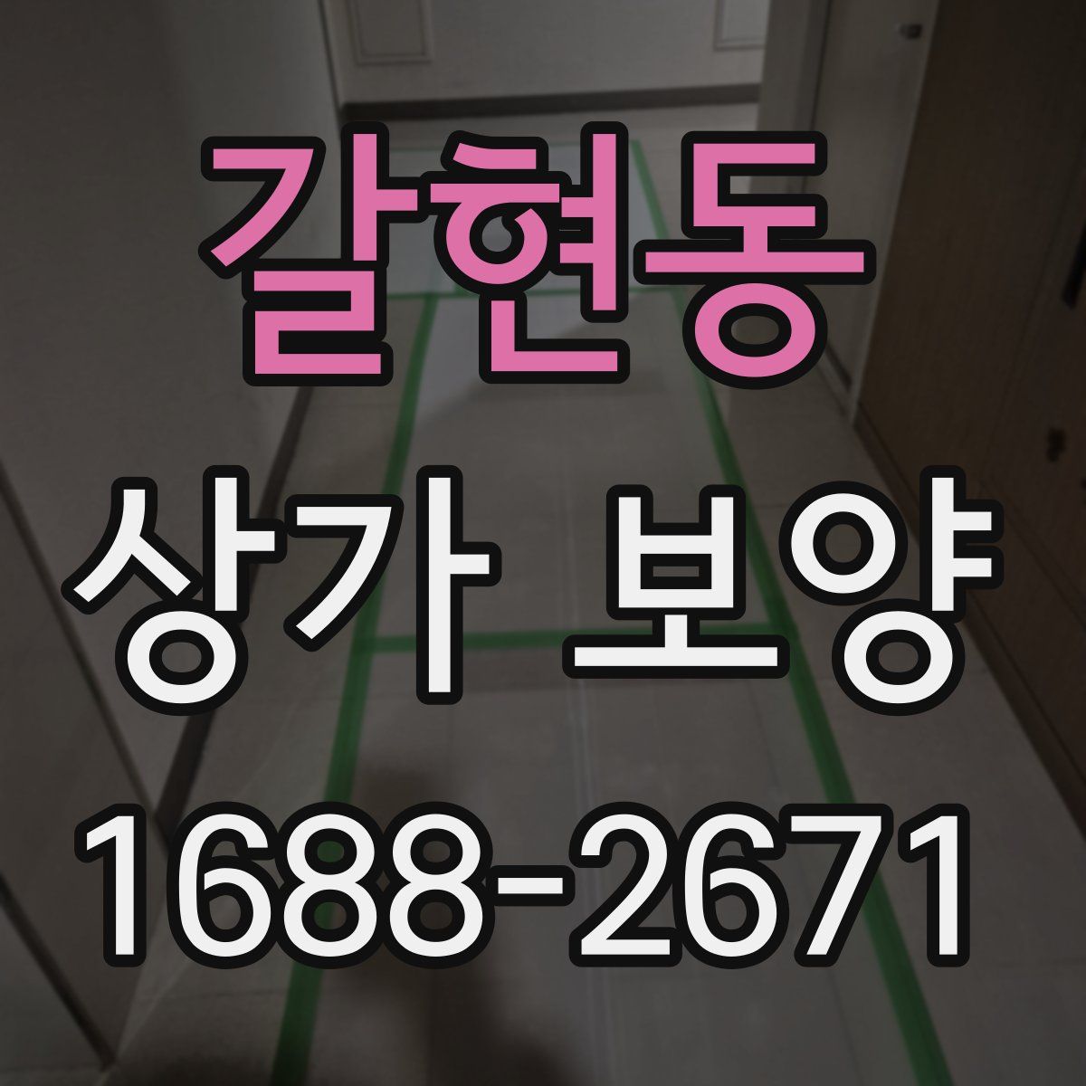 갈현동 상가 보양