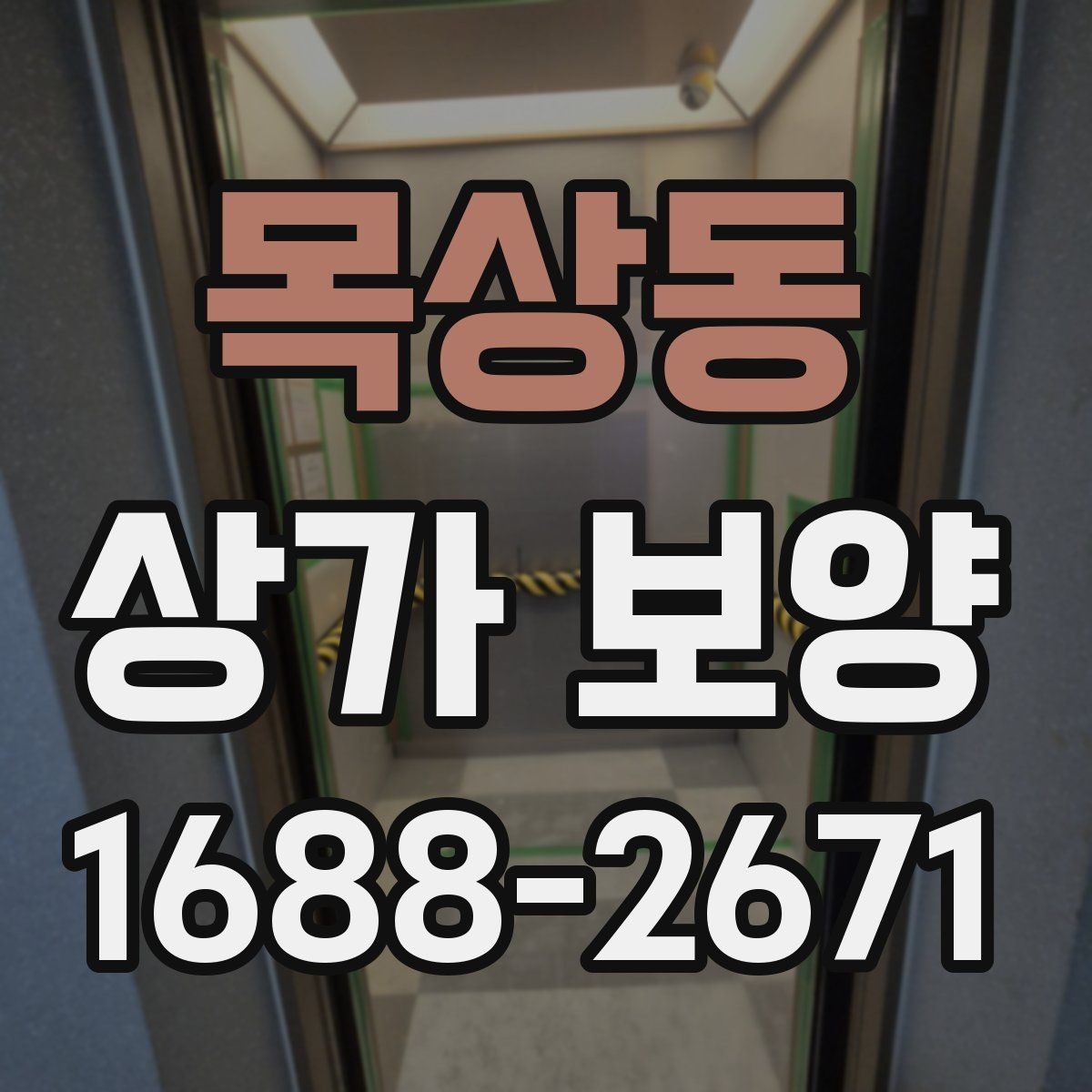 목상동 상가 보양 시기와 순서, 현장에서 자주 놓치는 부분