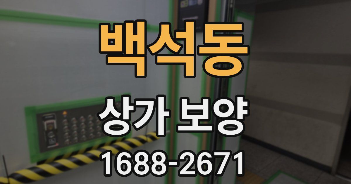 백석동 상가 보양