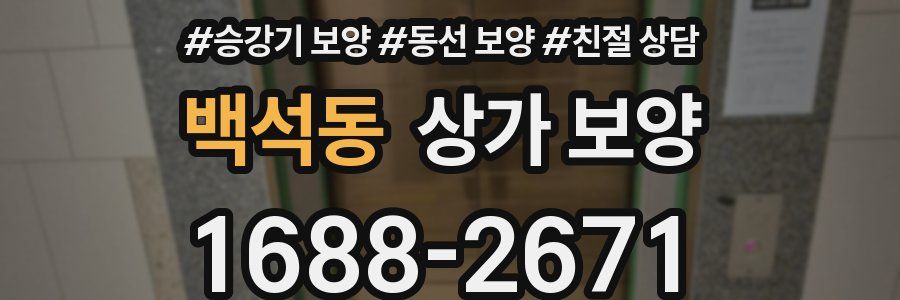 백석동 상가 보양