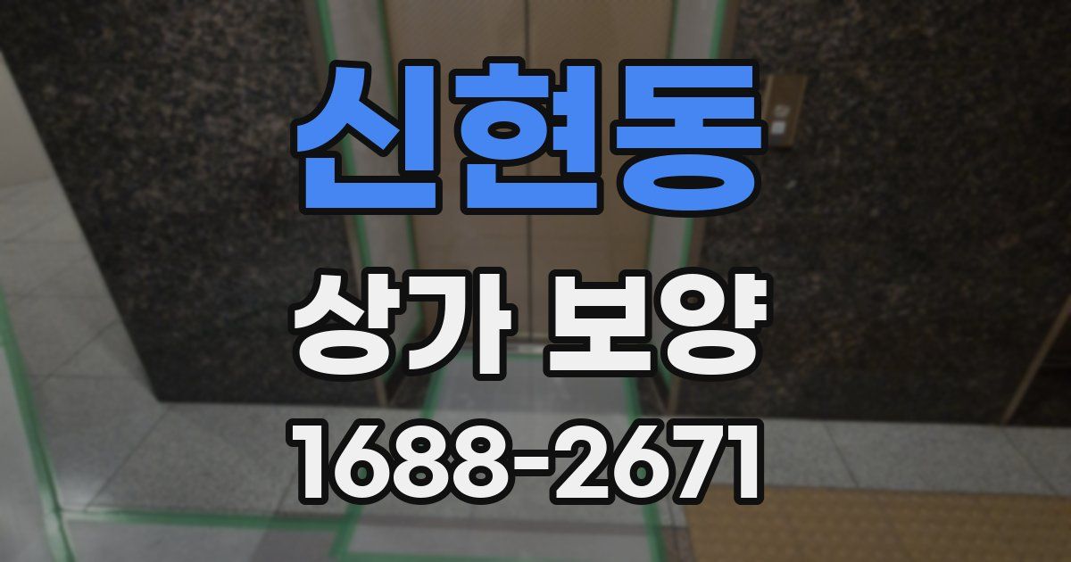 신현동 상가 보양