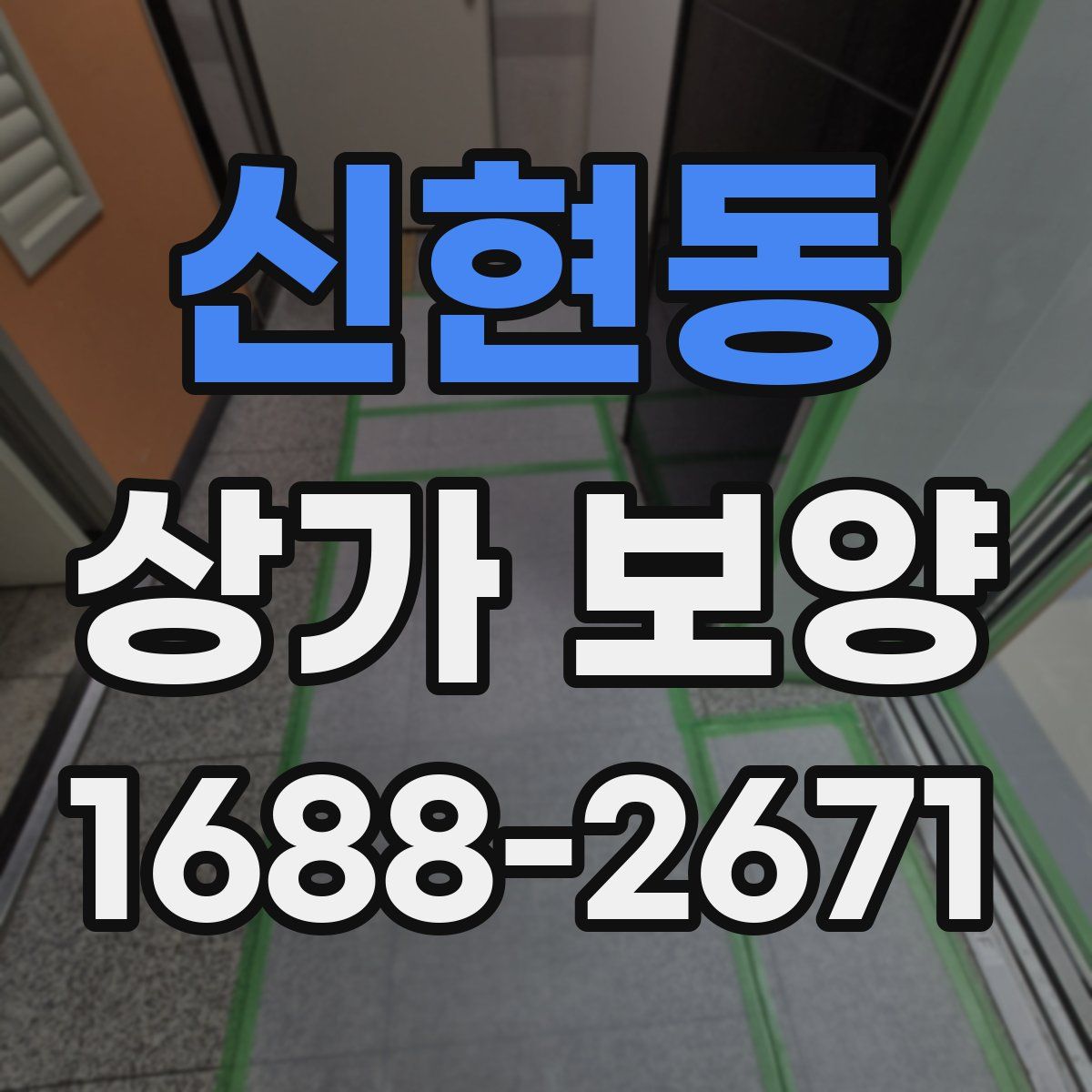 신현동 상가 보양