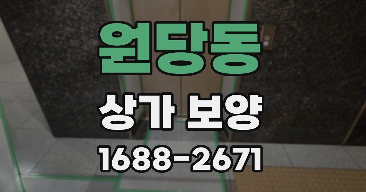 원당동 상가 보양