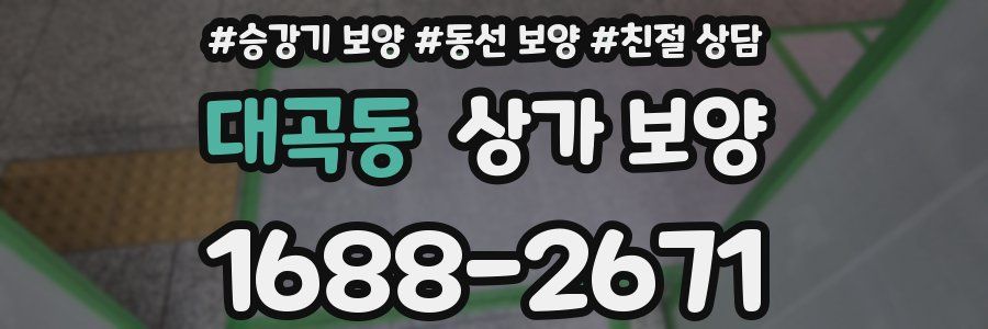 대곡동 상가 보양