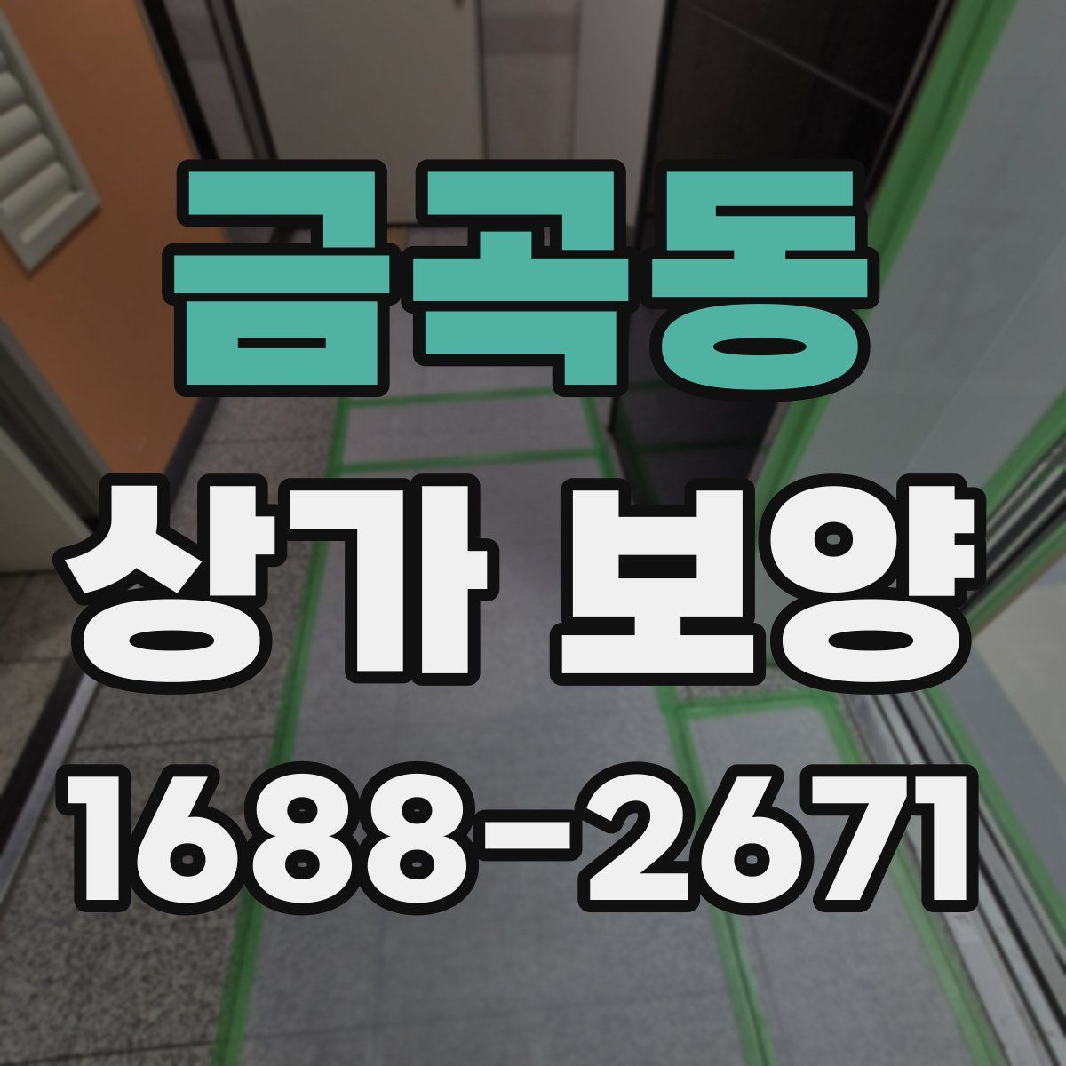 금곡동 상가 보양