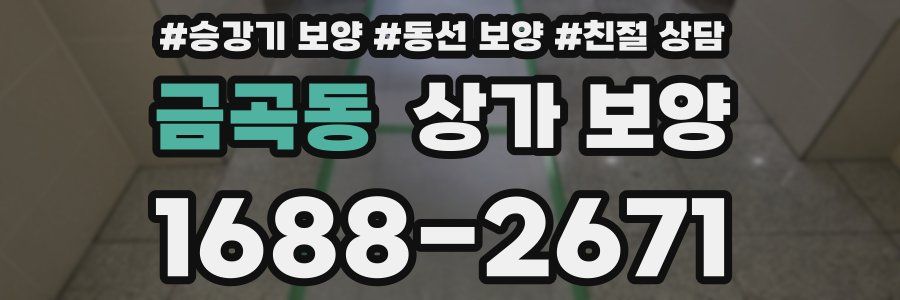 금곡동 상가 보양