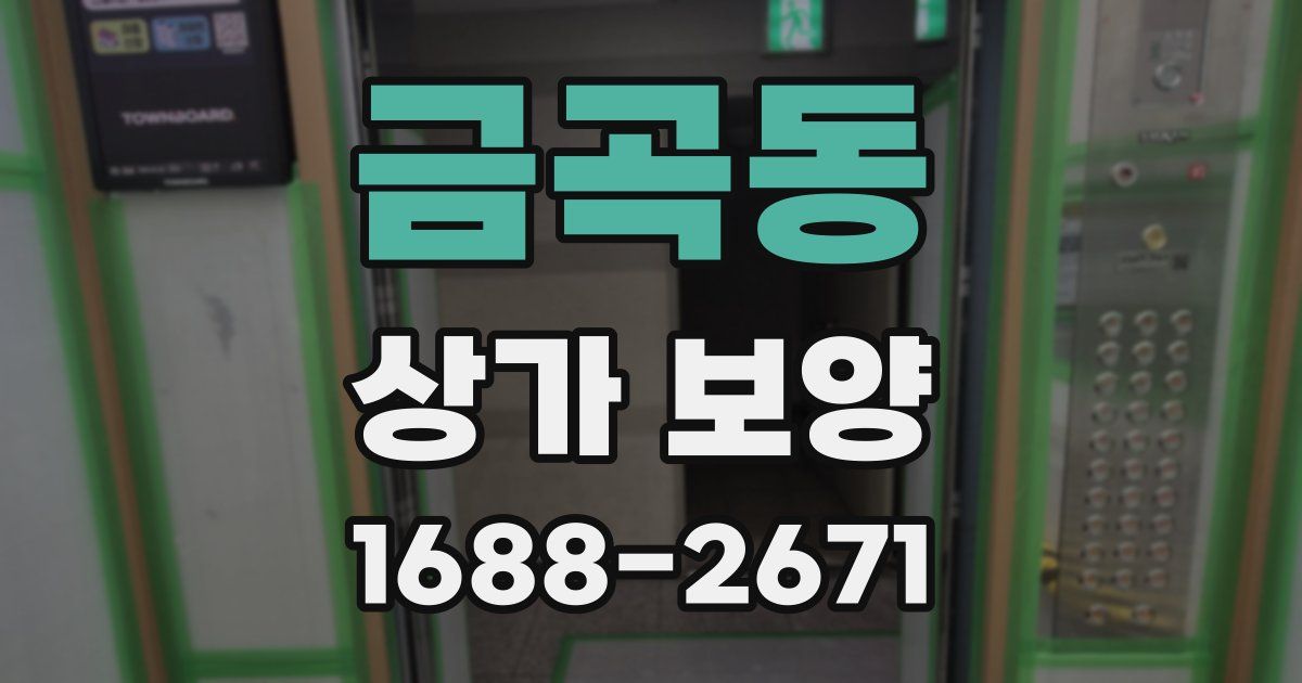 금곡동 상가 보양