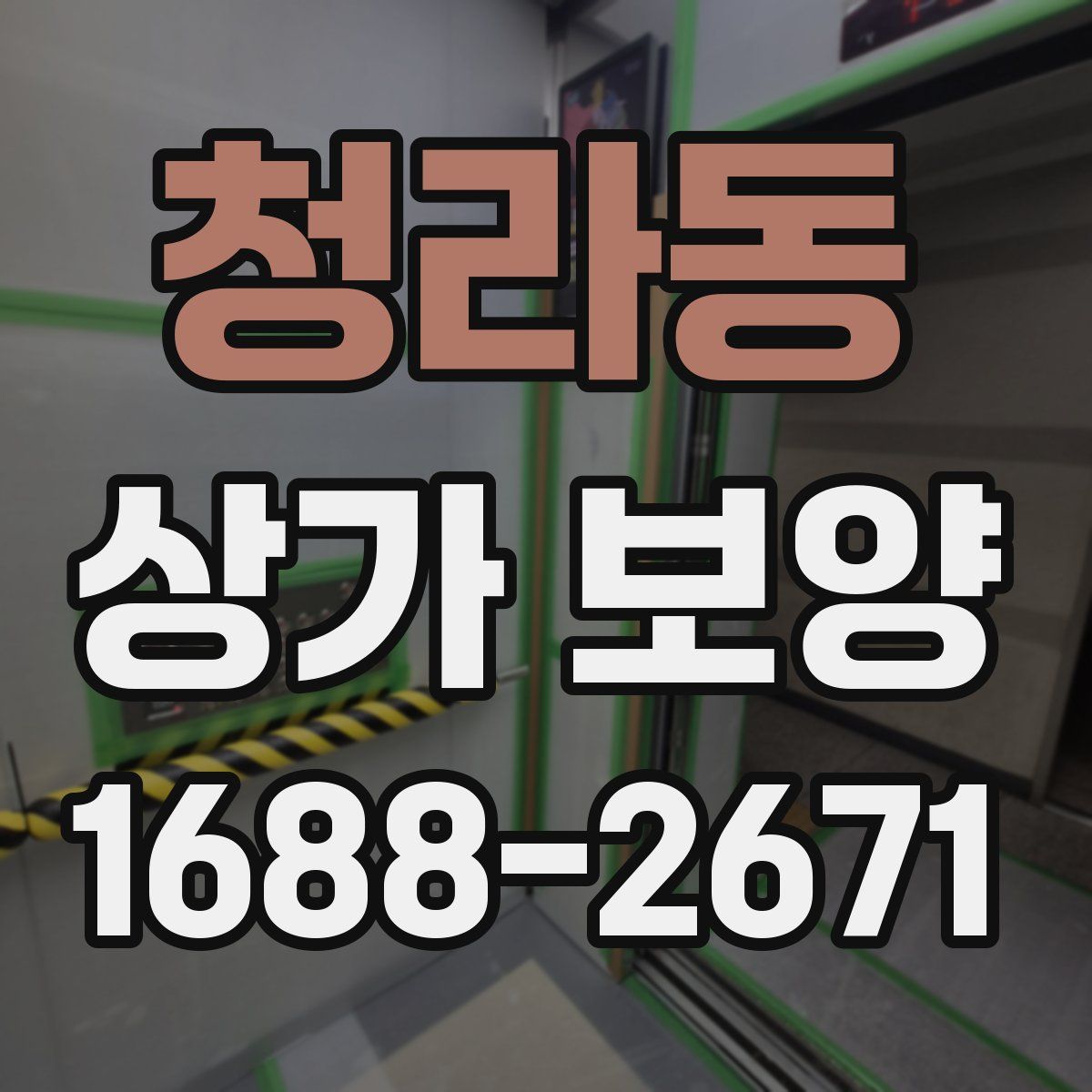 청라동 상가 보양