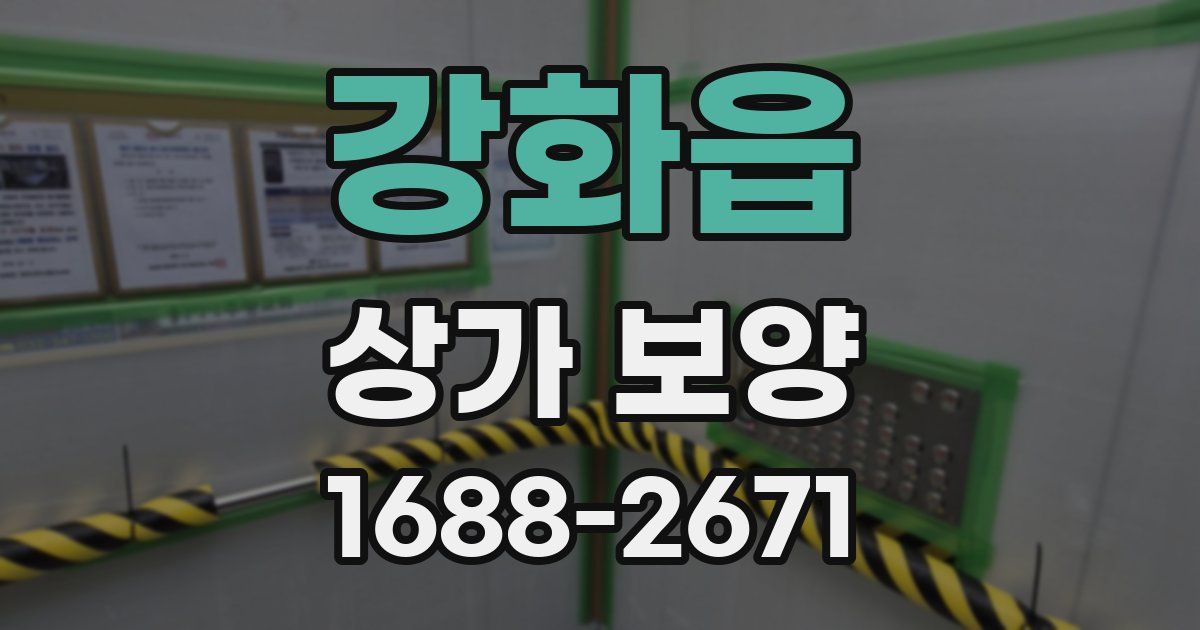 강화읍 상가 보양