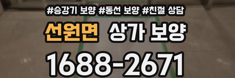 선원면 상가 보양