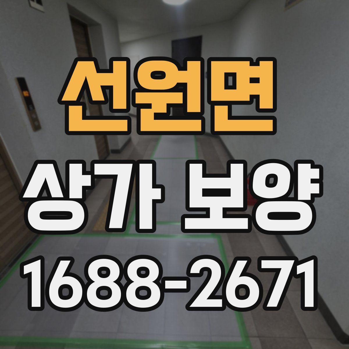 선원면 상가 보양