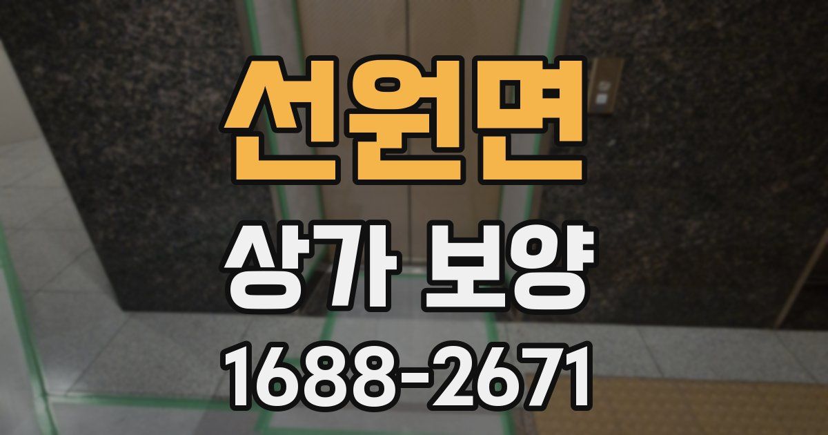 선원면 상가 보양