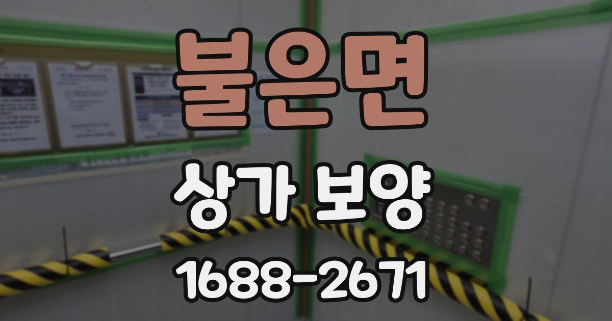 불은면 상가 보양