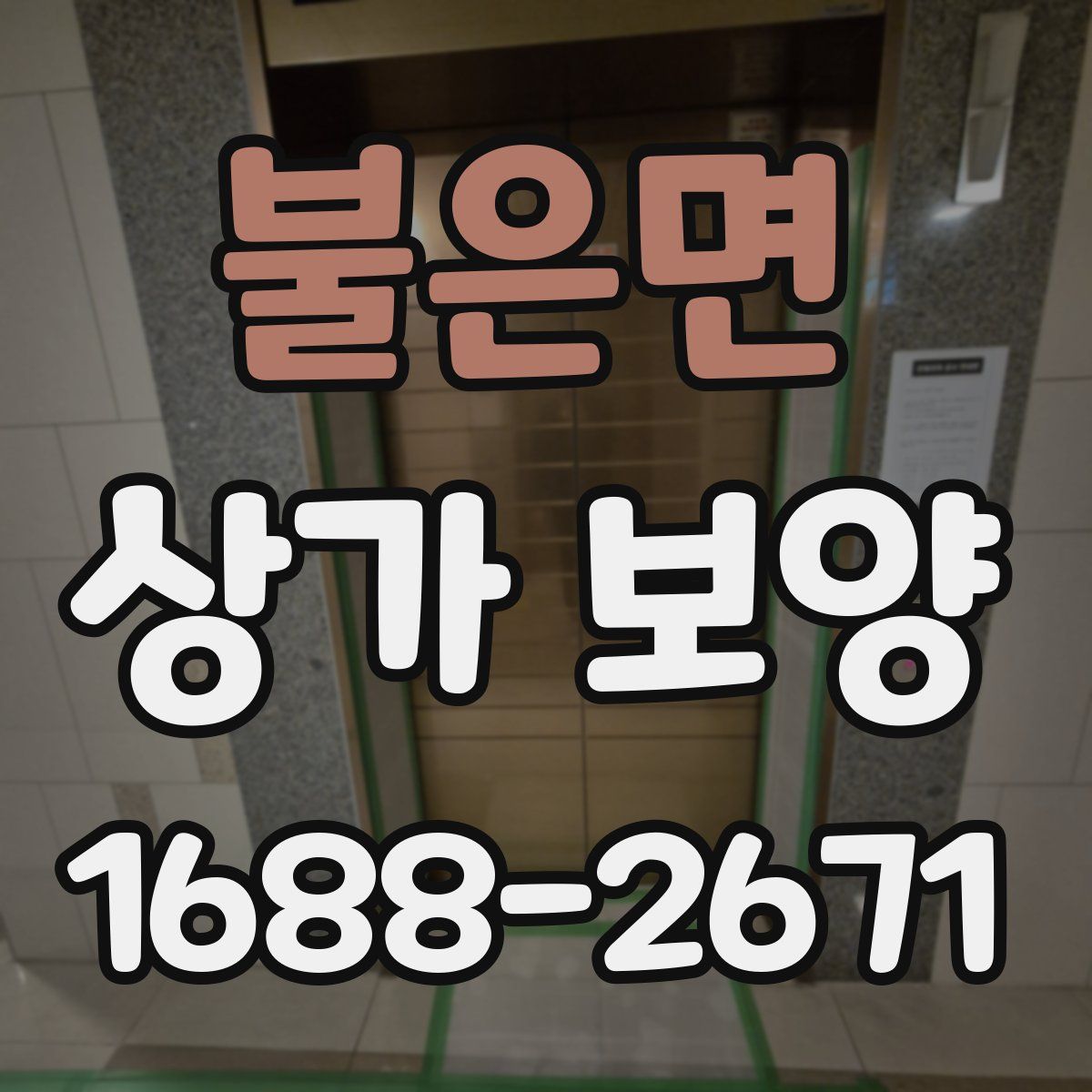 불은면 상가 보양
