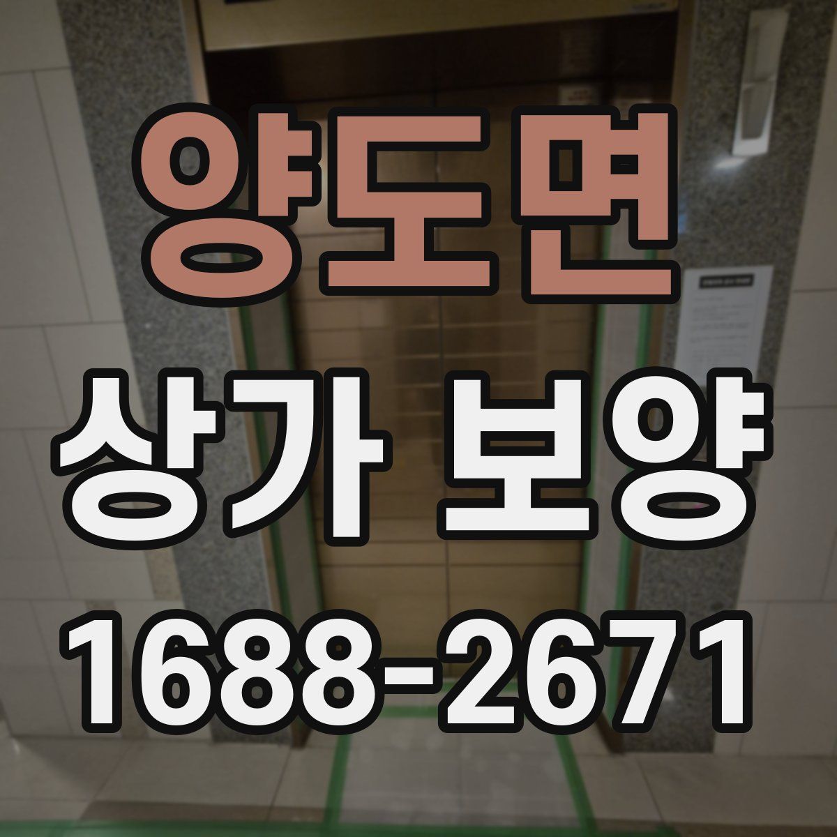 양도면 상가 보양