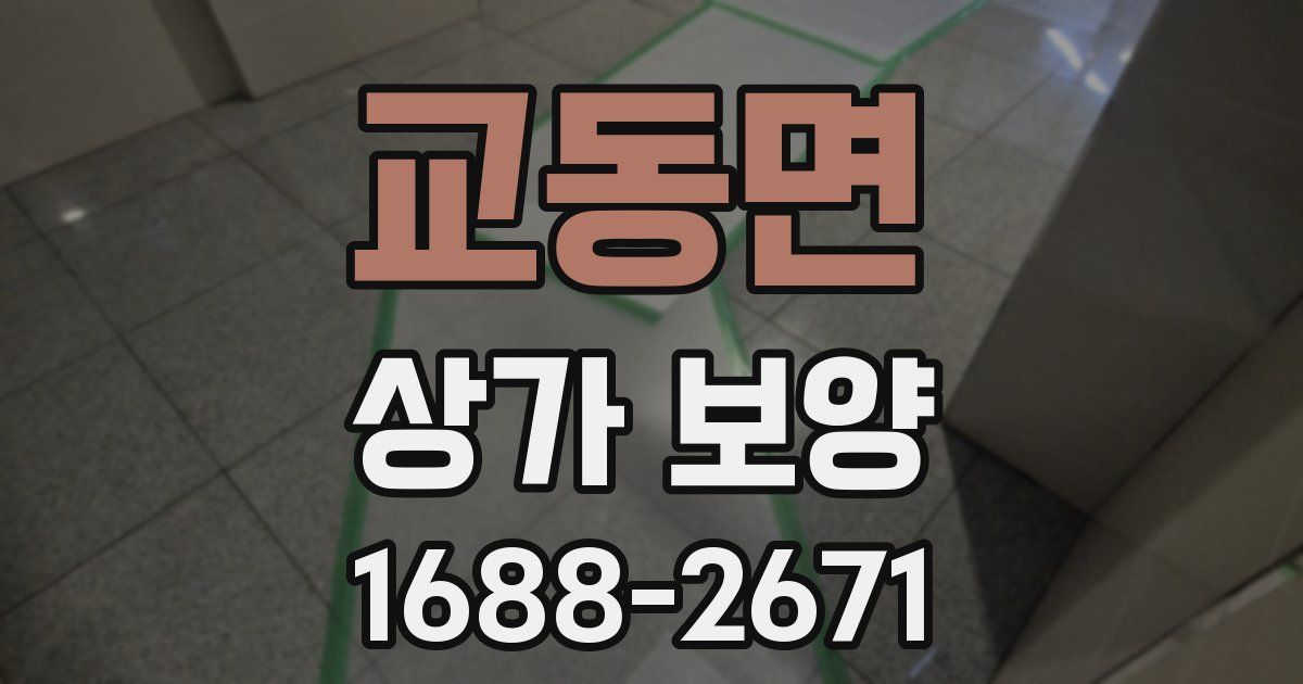 교동면 상가 보양
