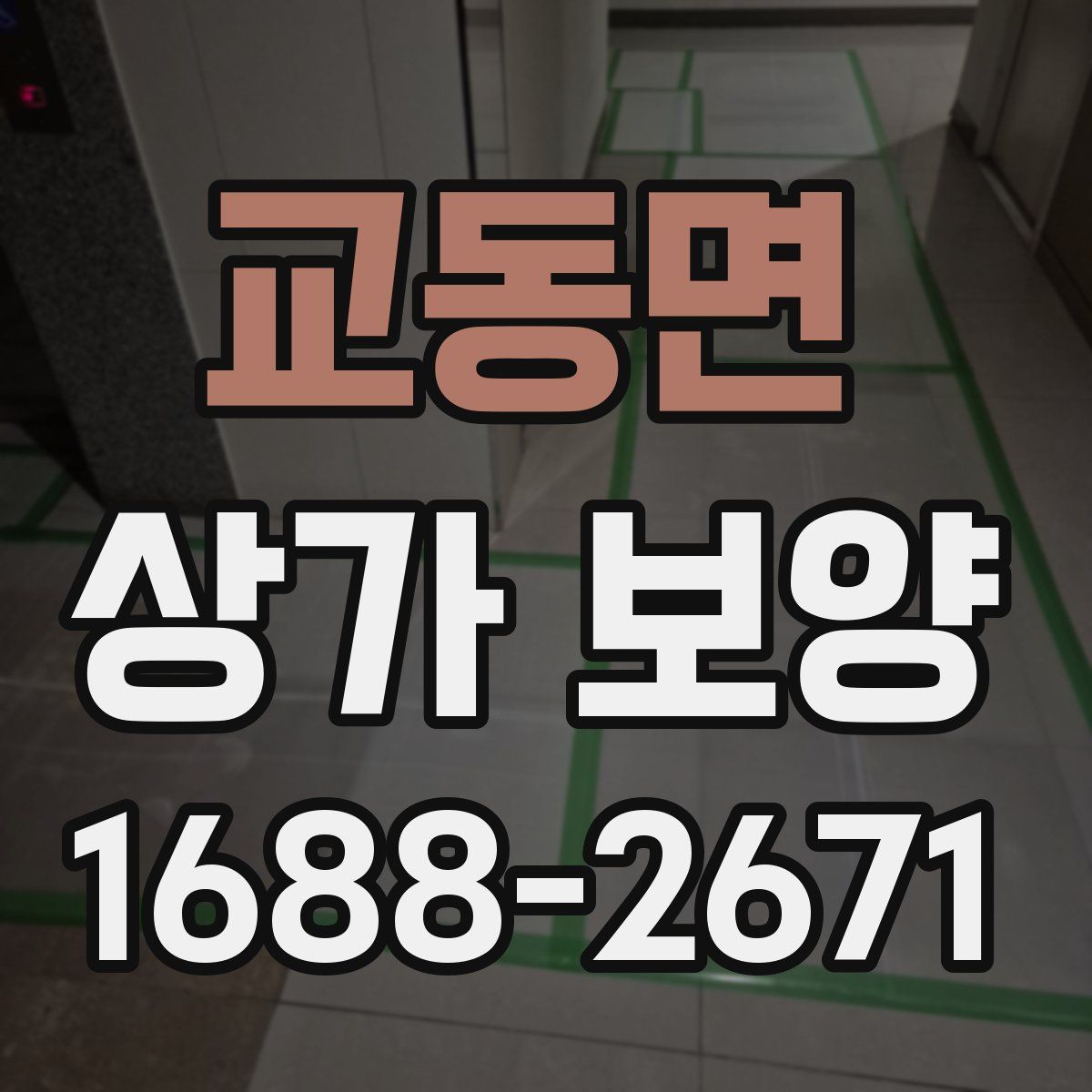교동면 상가 보양