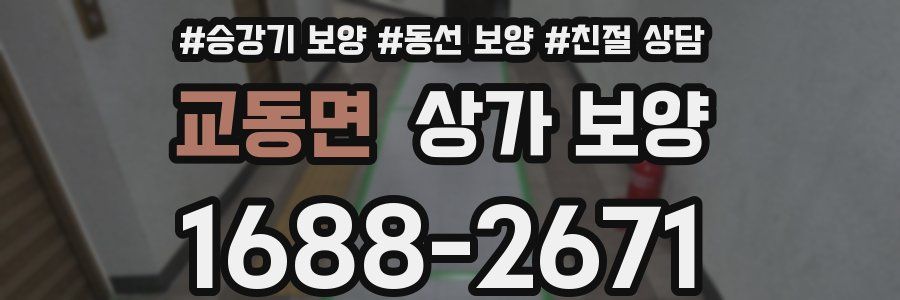 교동면 상가 보양