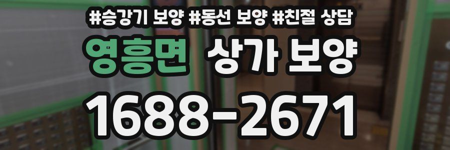 영흥면 상가 보양