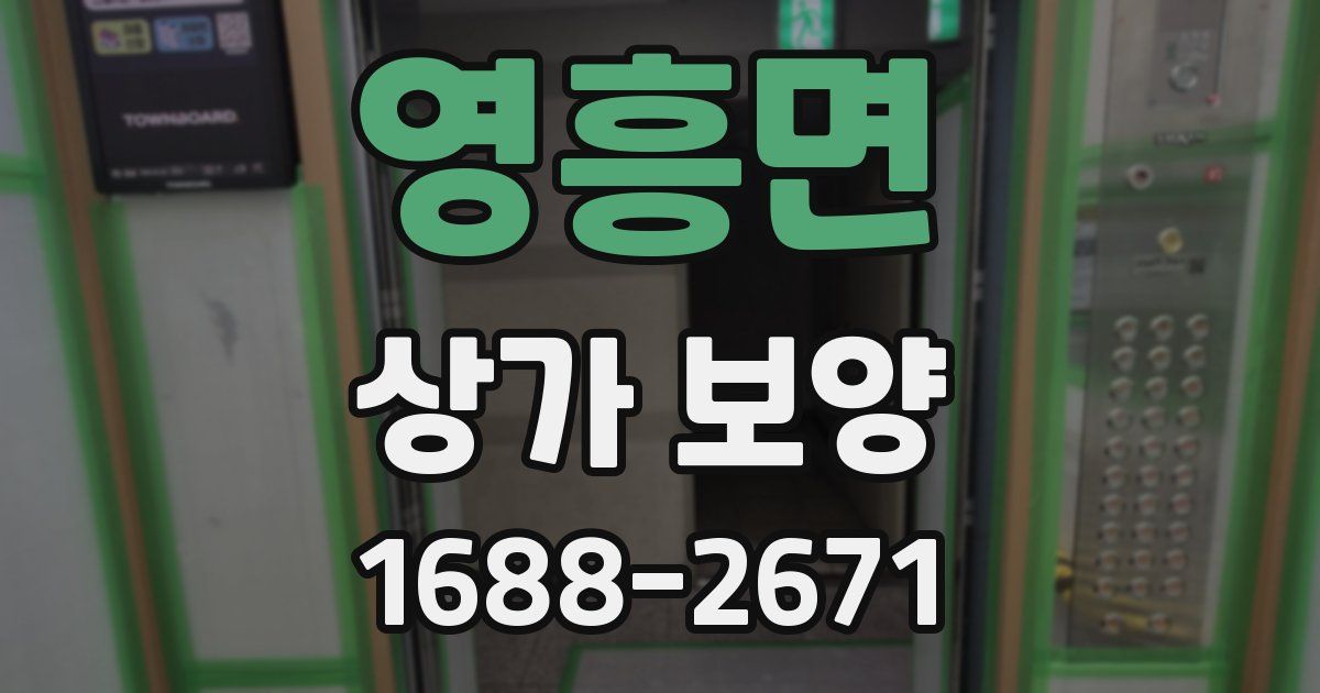 영흥면 상가 보양