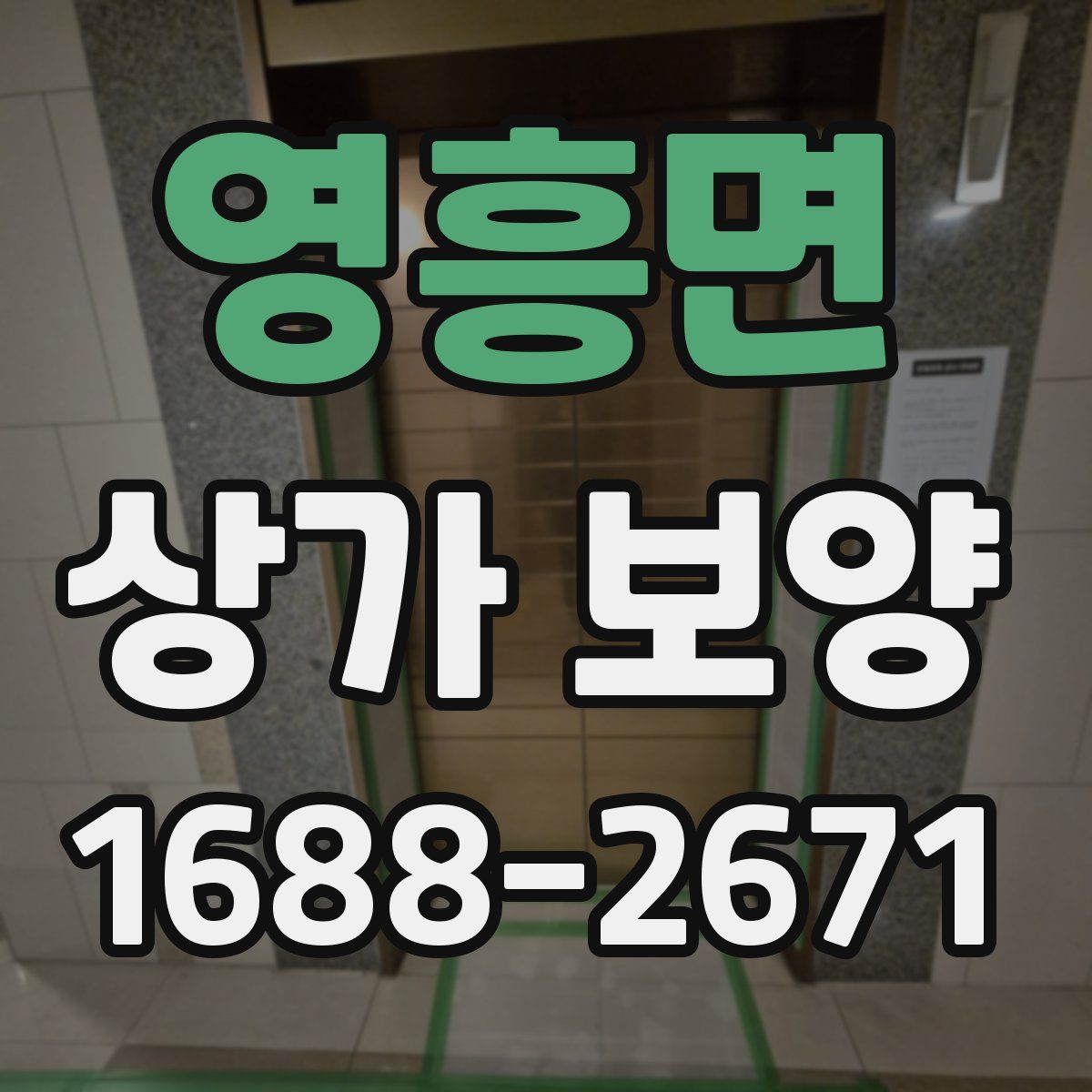 영흥면 상가 보양