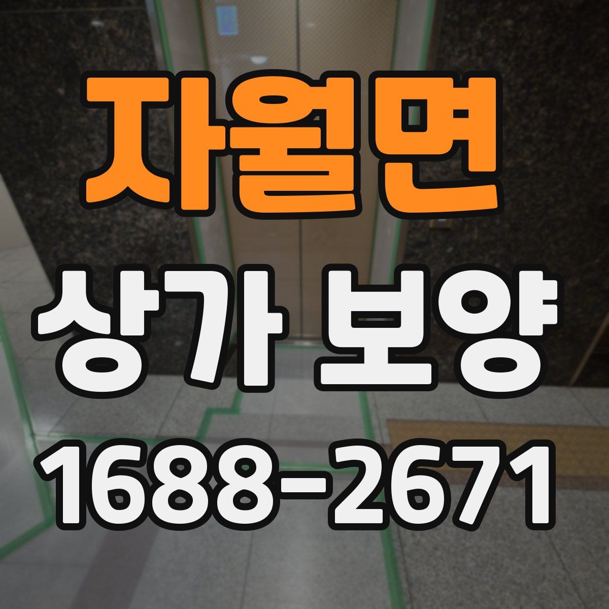자월면 상가 보양
