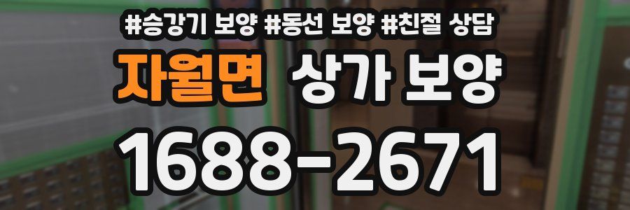 자월면 상가 보양