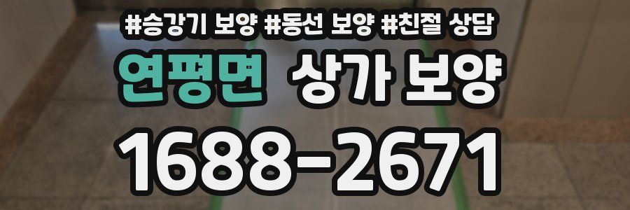 연평면 상가 보양