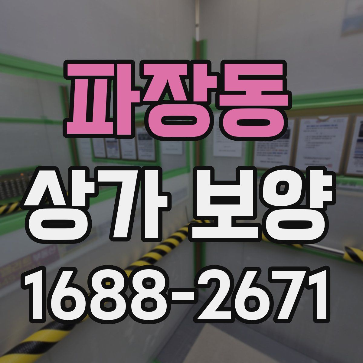 파장동 상가 보양