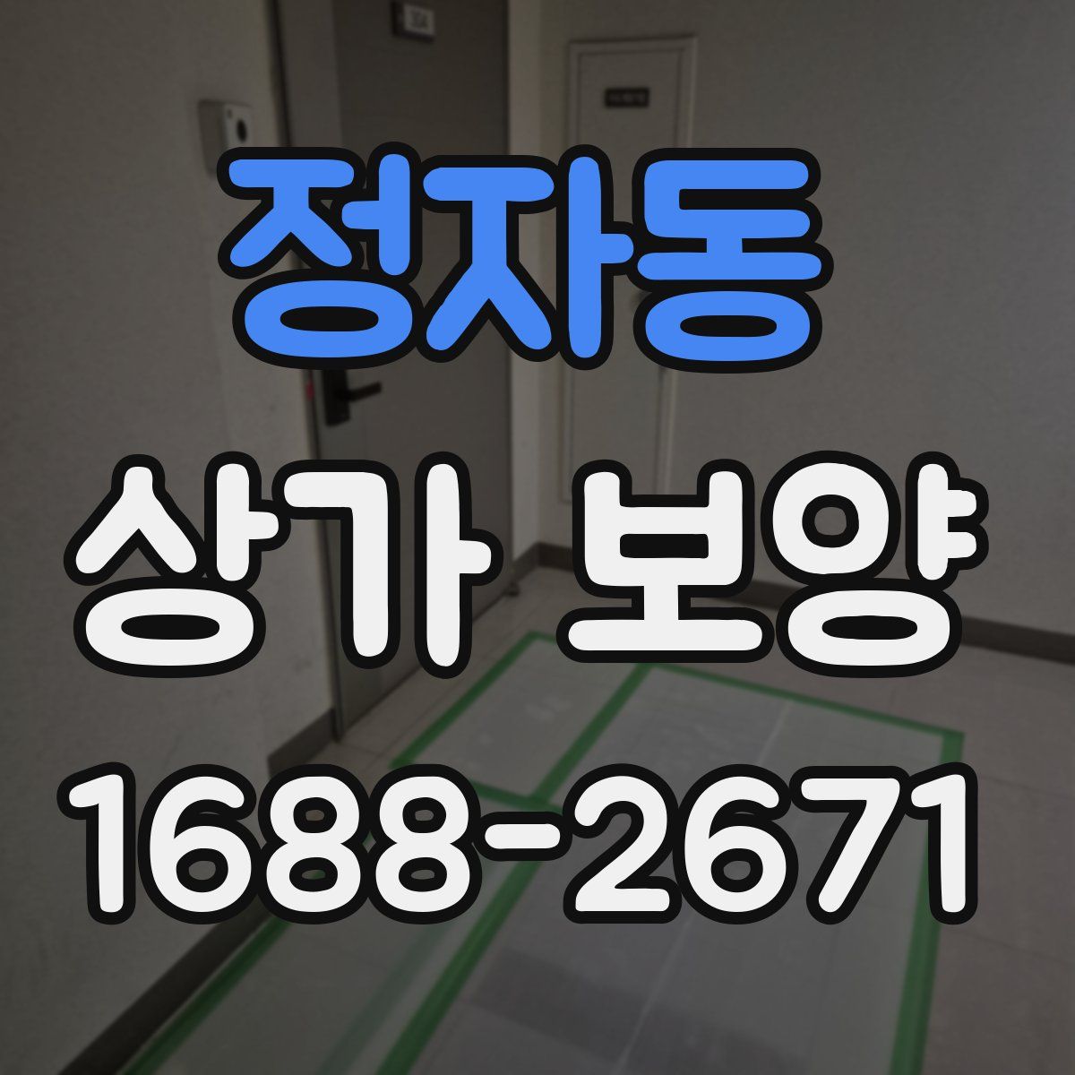 정자동 상가 보양