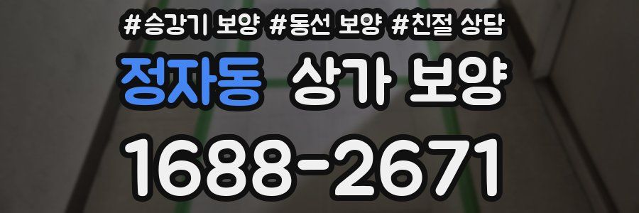 정자동 상가 보양