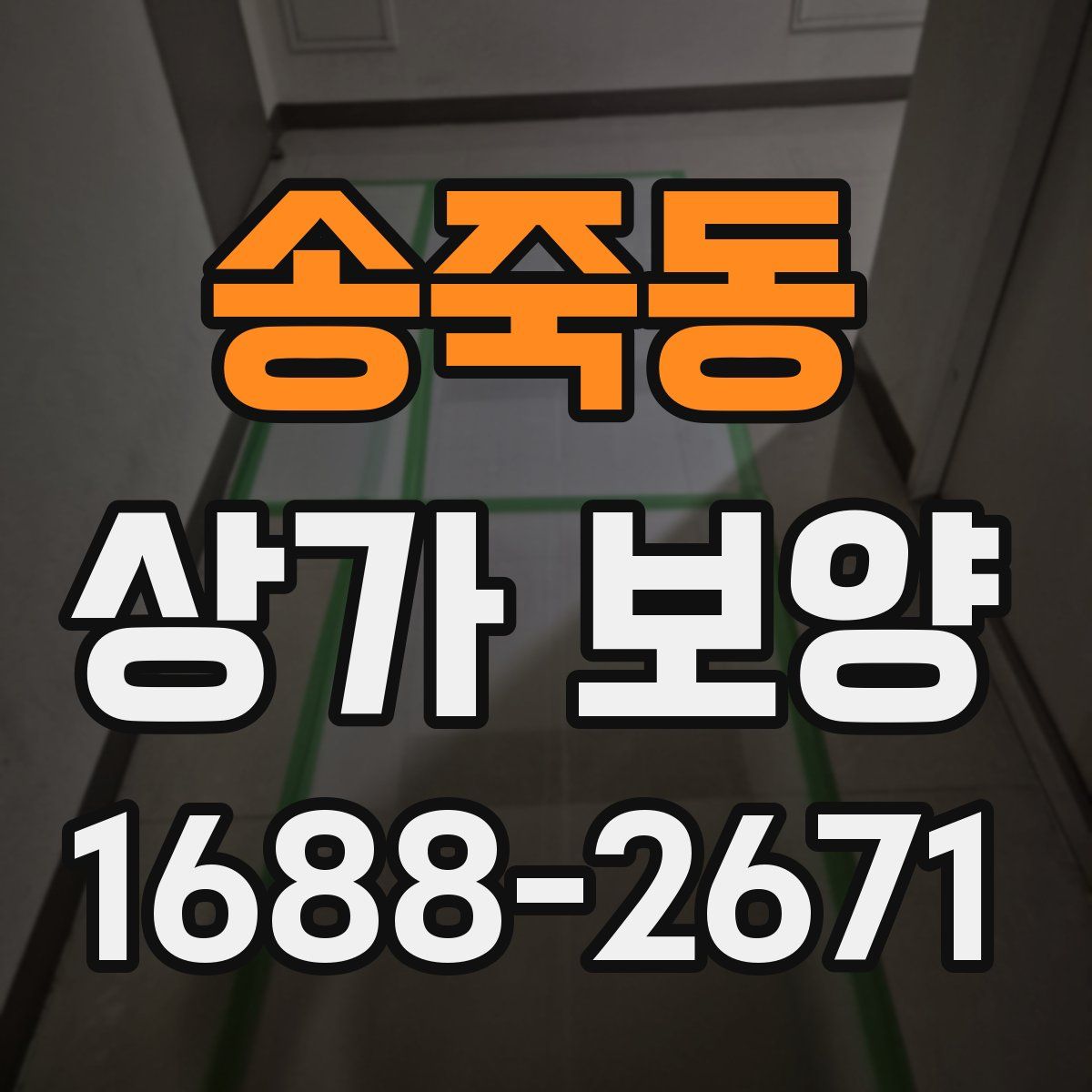 송죽동 상가 보양