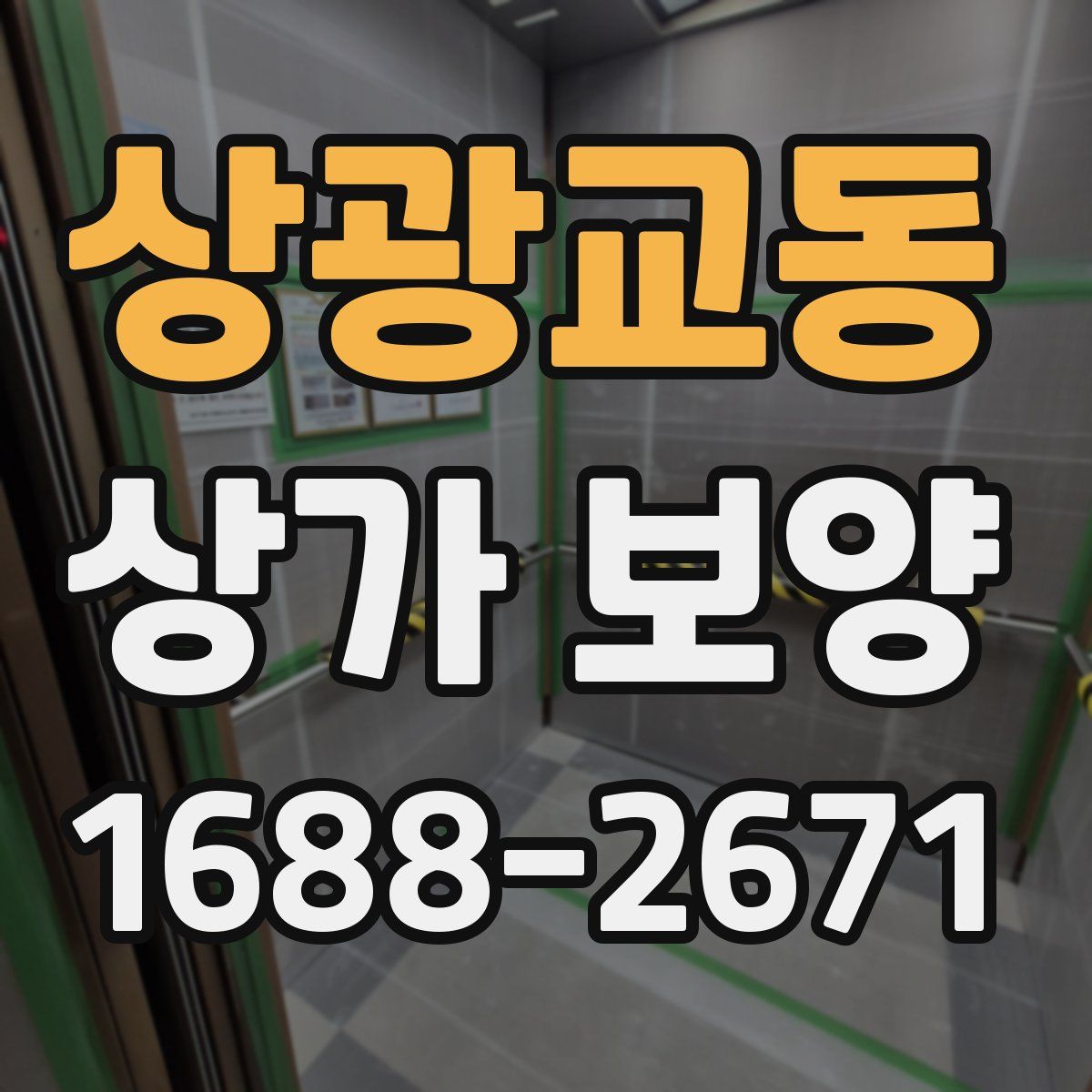 상광교동 상가 보양