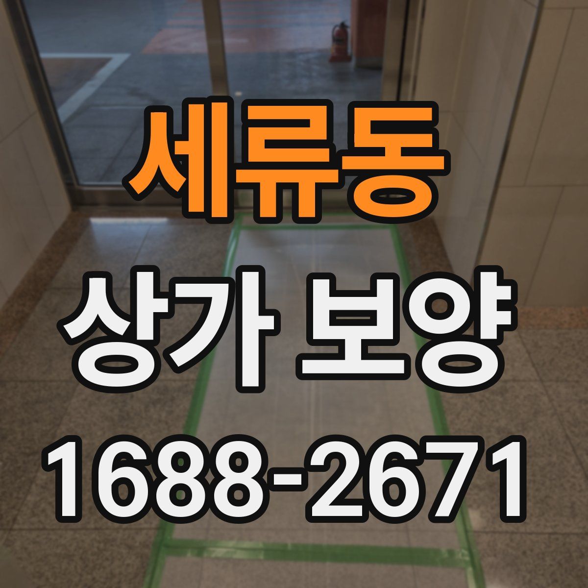 세류동 상가 보양