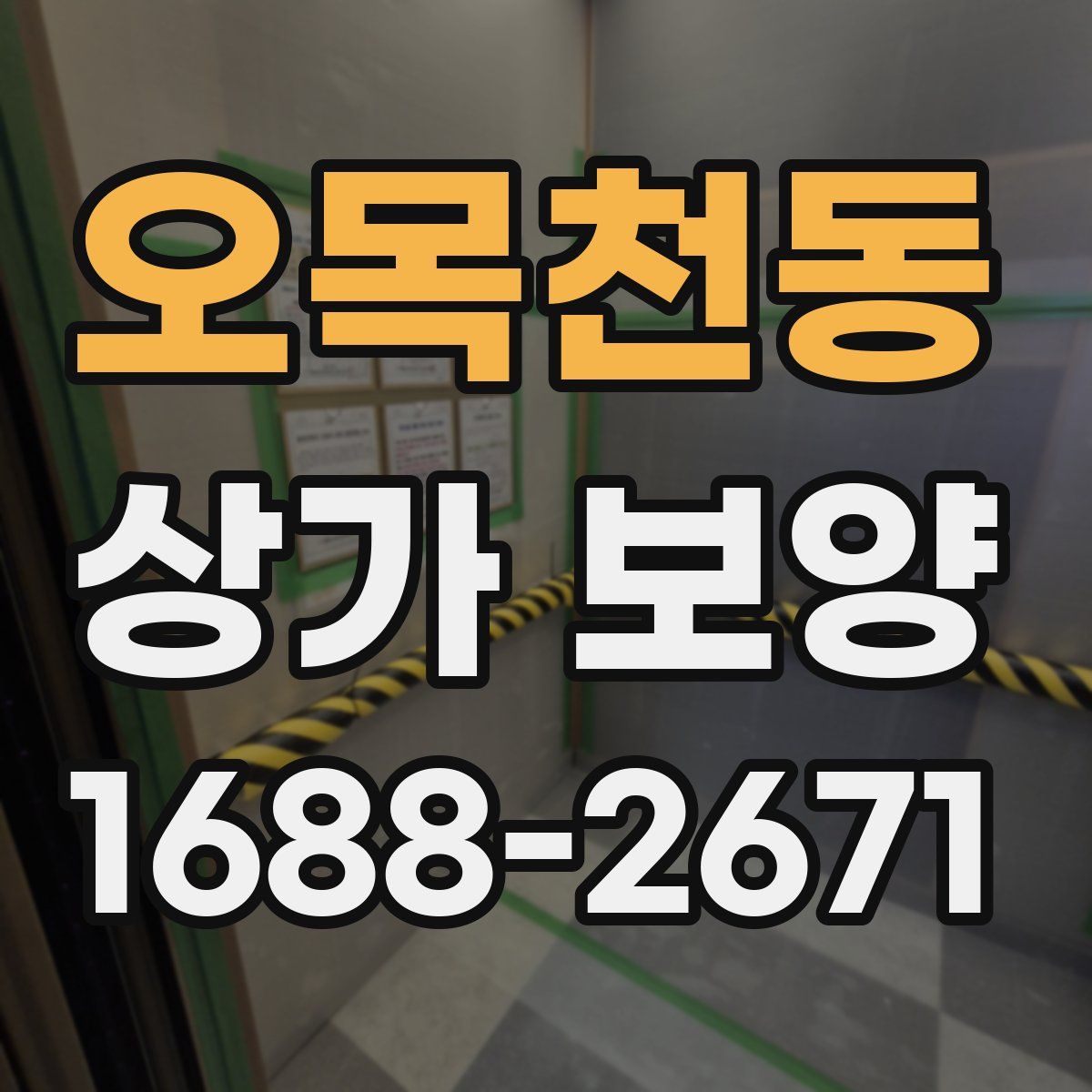 오목천동 상가 보양