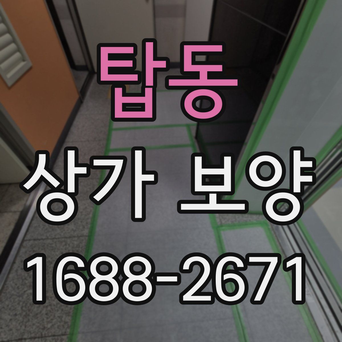 탑동 상가 보양