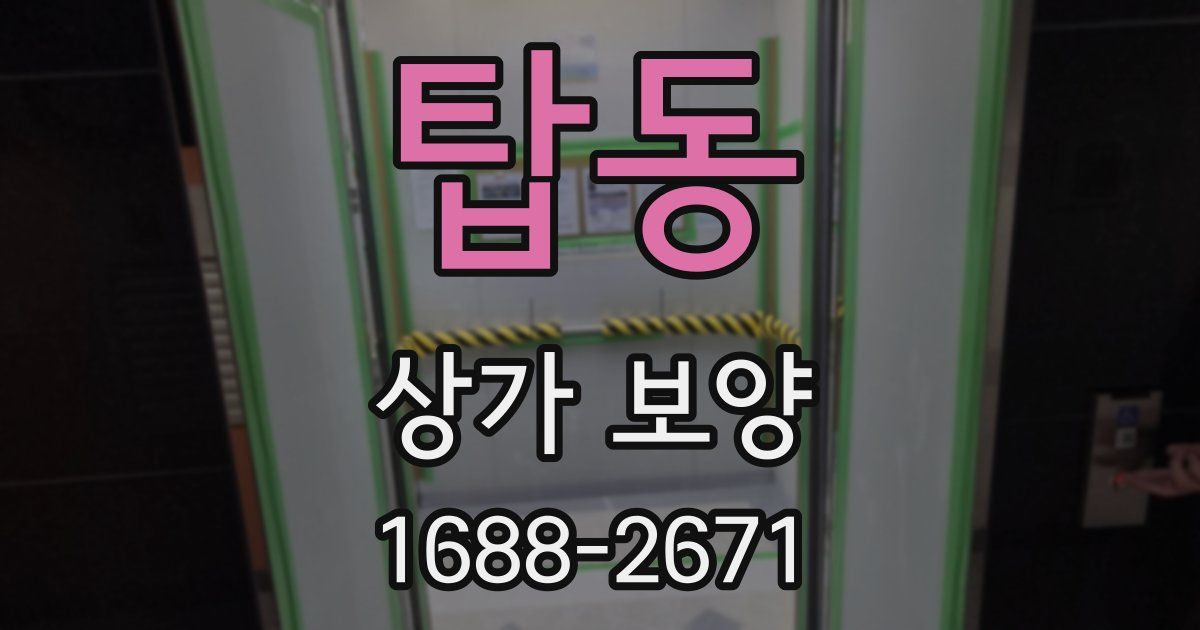 탑동 상가 보양