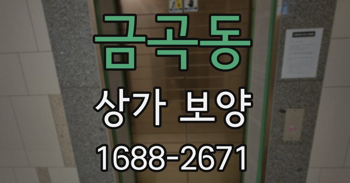금곡동 상가 보양