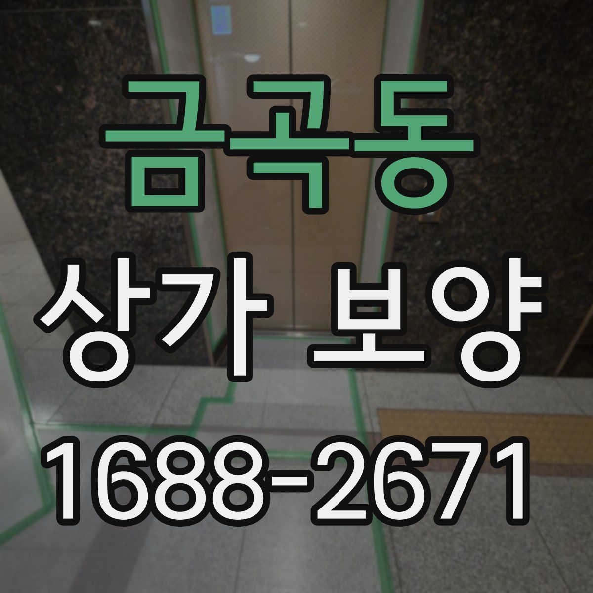 금곡동 상가 보양