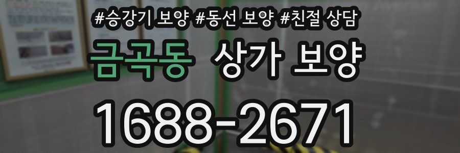 금곡동 상가 보양