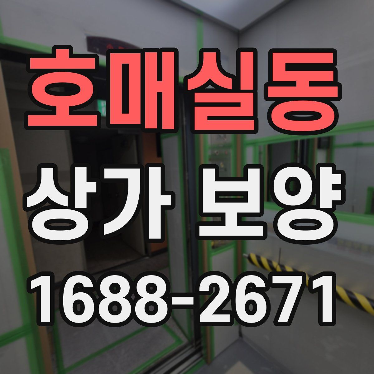 호매실동 상가 보양
