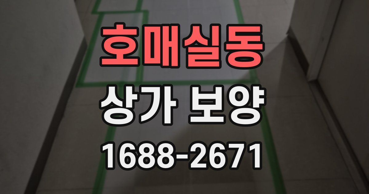 호매실동 상가 보양