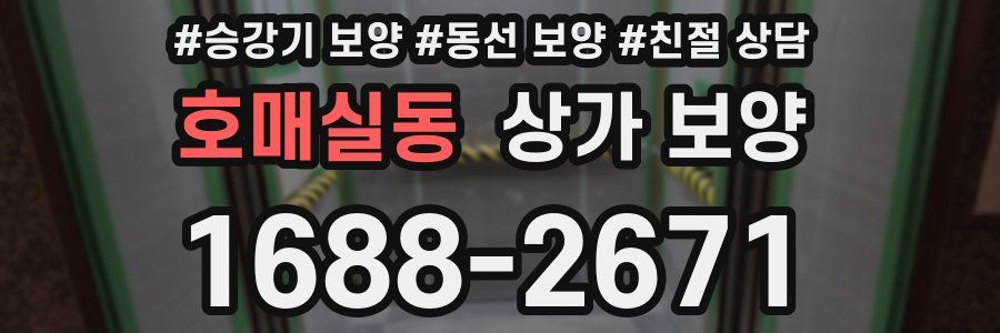 호매실동 상가 보양