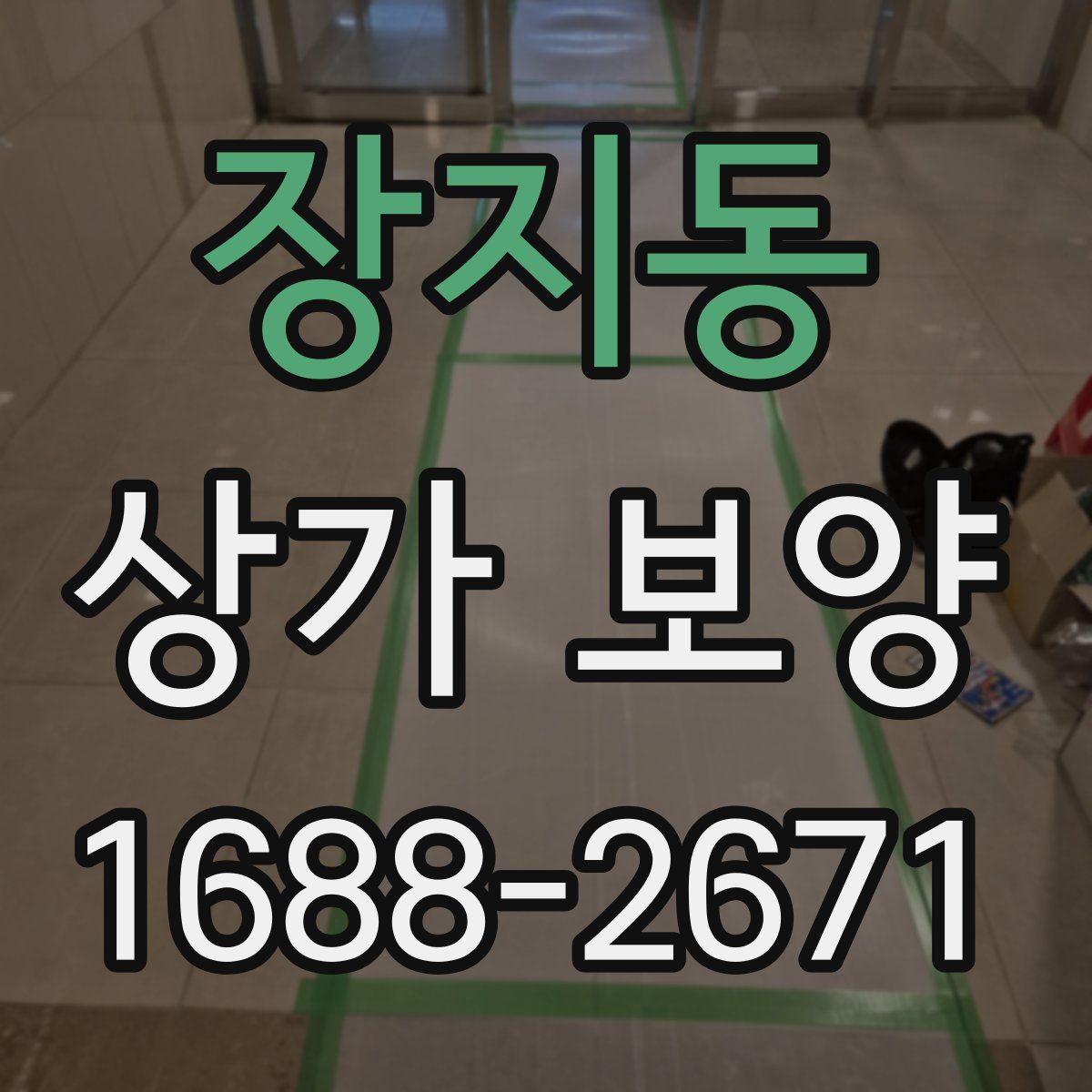 장지동 상가 보양