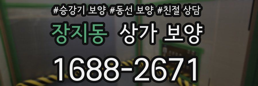 장지동 상가 보양